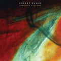 ROBERT HAIGH - Darkling Streams CD CD