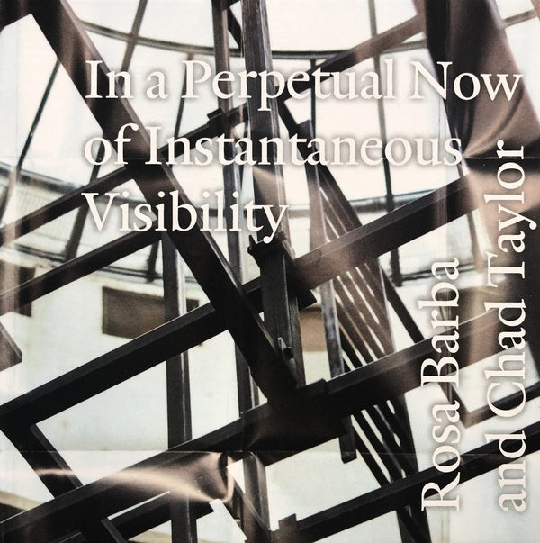 ROSA BARBA AND CHAD TAYLOR - In a Perpetual Now of Instantaneous Visibility CD CD