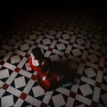 Rose Hotel - A Pawn Surrender [SIGNED] Vinyl LP, Autographed