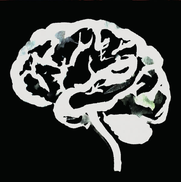 Ruins - Brain Flakes (The Lost Combo Tapes) Vinyl LP