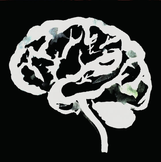 Ruins - Brain Flakes (The Lost Combo Tapes) Vinyl LP