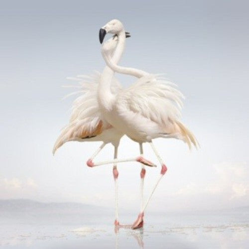 Rustie - Green Language Vinyl 2LP w/ DL - printed inners in 5mm spine sleeve