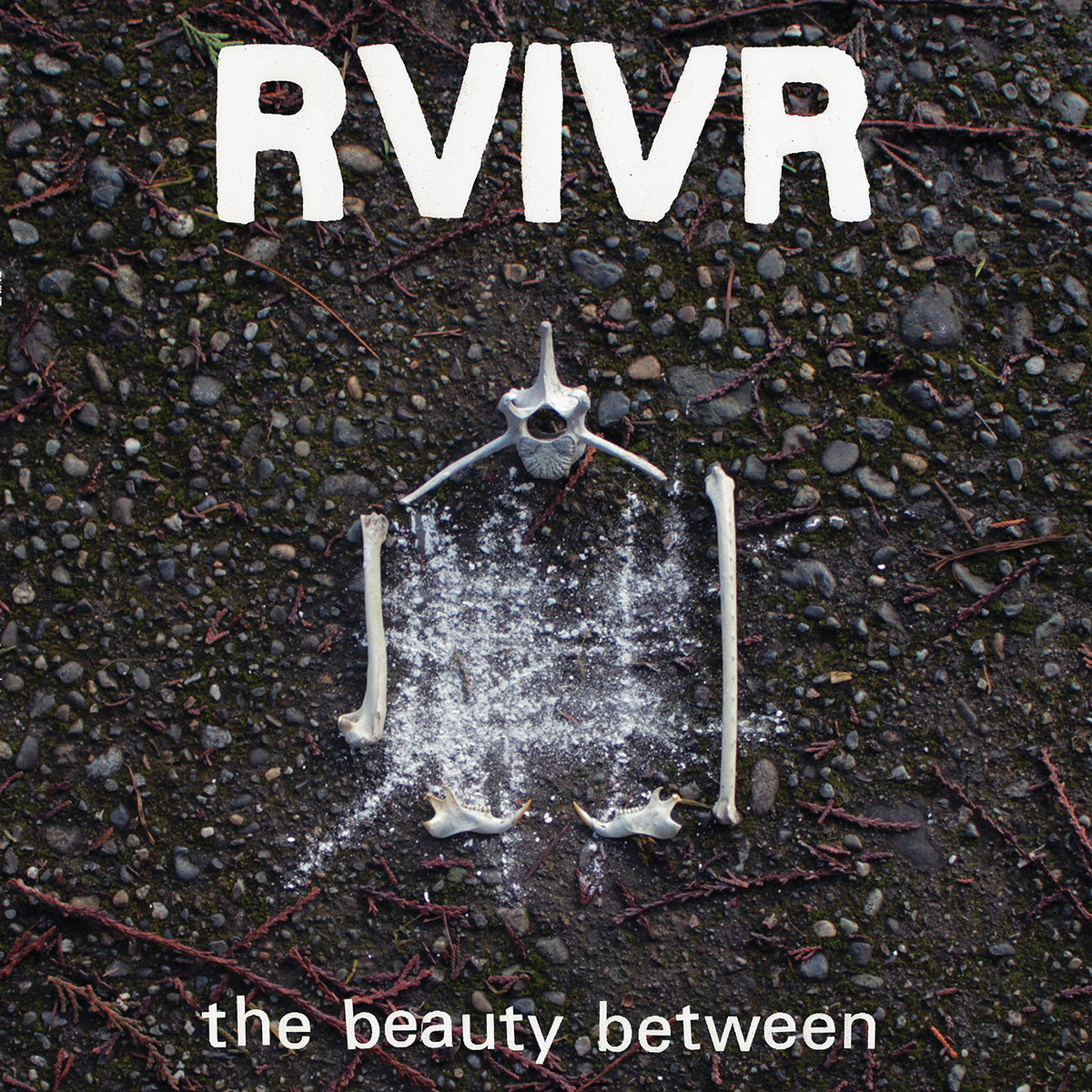 RVIVR - The Beauty Between [Black/Clear Vinyl] Vinyl