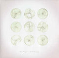 Ryan Teague - Field Drawings Vinyl LP