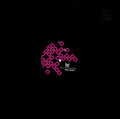 RYO MURAKAMI - Down The Sky Vinyl 12"