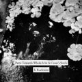 S. Raekwon - Parts Towards Whole b/w A Crow's Smile Vinyl 7" Vinyl