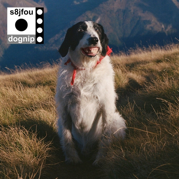 S8Jfou - Dognip Vinyl LP