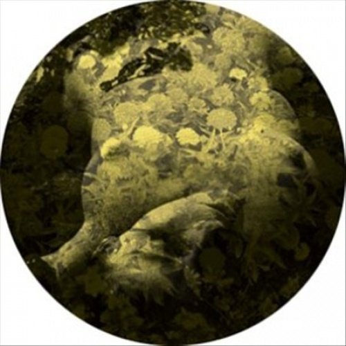Salva - Yellobone - 12_x001A_ Vinyl LP