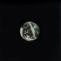 SAM DE LA ROSA - Earth Wart EP Vinyl 12"