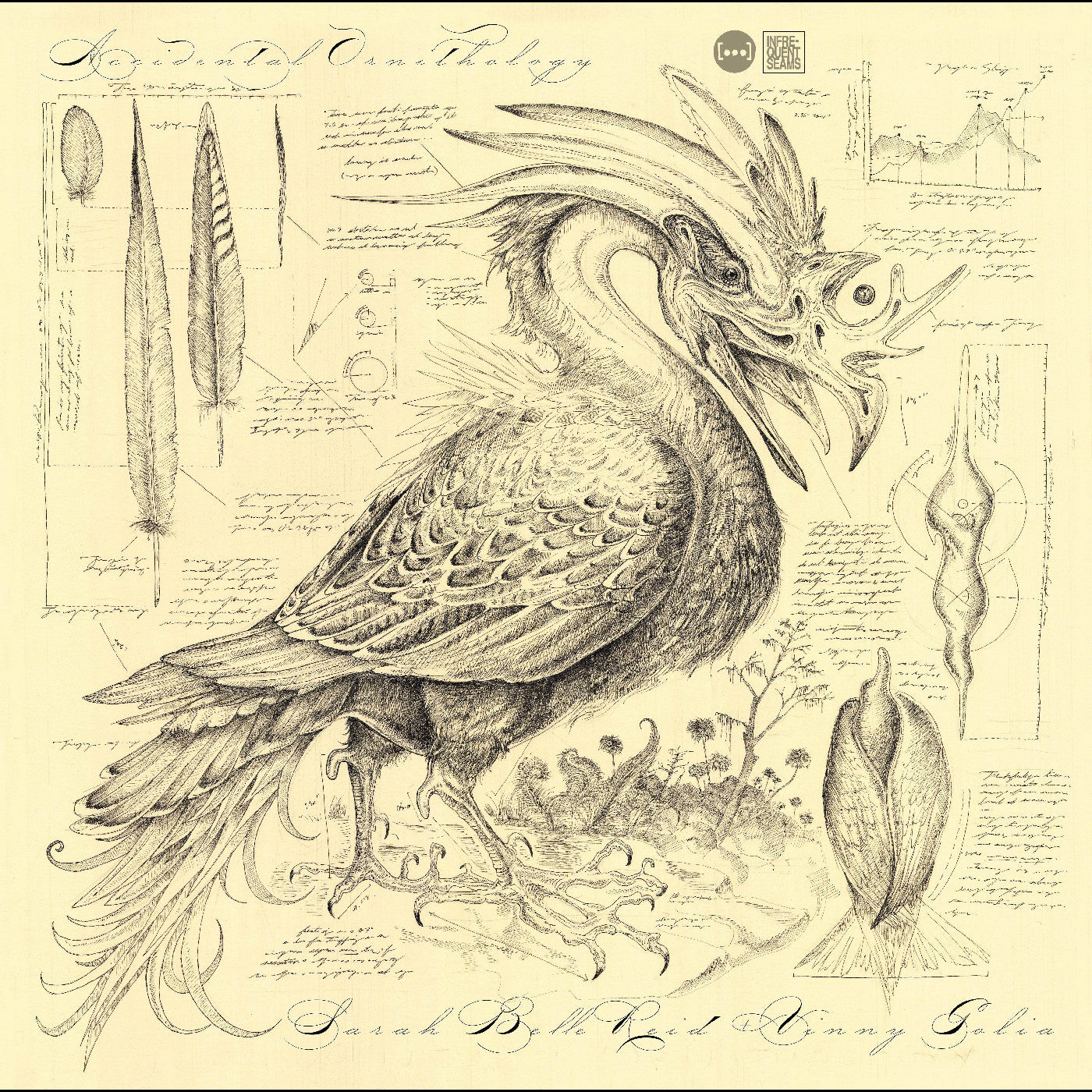 Sarah Belle & Golia Reid - Accidental Ornithology CD