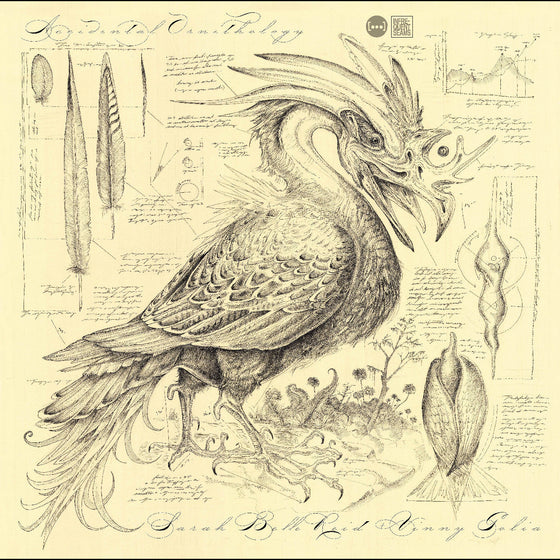 Sarah Belle & Golia Reid - Accidental Ornithology CD