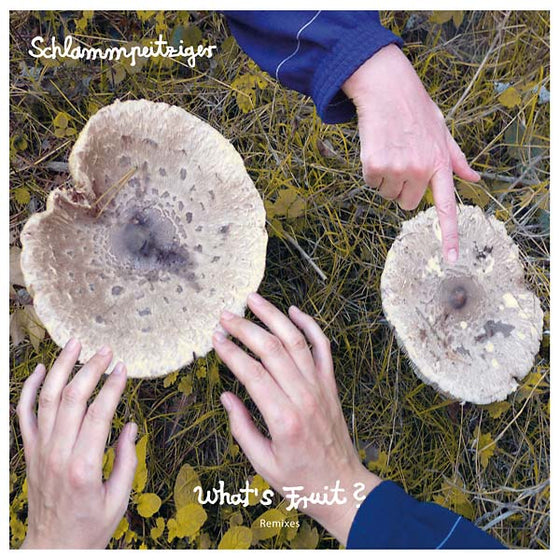 SCHLAMMPEITZIGER - What's Fruit? Remixes Vinyl 12"
