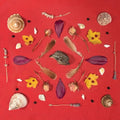 Secret Family - Grouse Head Talisman Vinyl
