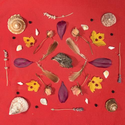 Secret Family - Grouse Head Talisman Vinyl