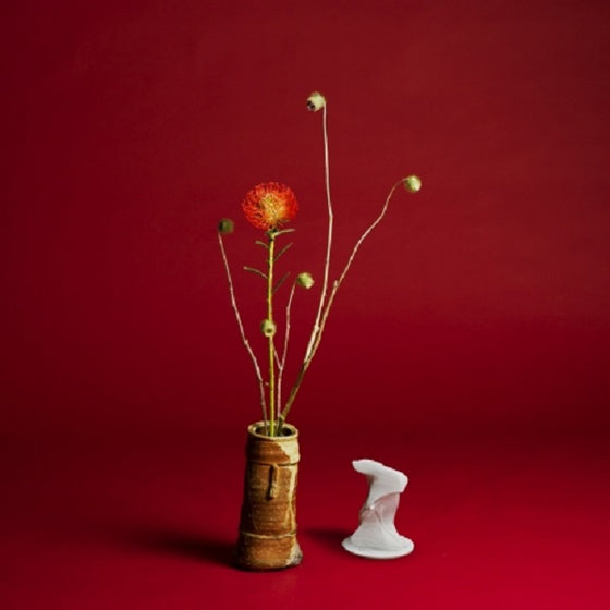 Seiho - Collapse Vinyl LP