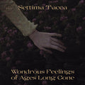 SETTIMA TACCA - Wondrous Feelings of Ages Long Gone Vinyl LP