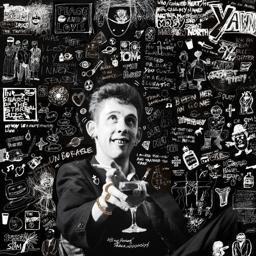 Shane MacGowan - 20th Century Paddy: The Songs of Shane Macgowan (3 Lp's) Vinyl