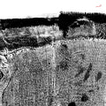 Sheherazaad - Qasr Vinyl LP, BioVinyl (100% CO2 saving), Printed Sleeve w/ Lyric Sheet [w/ download card]