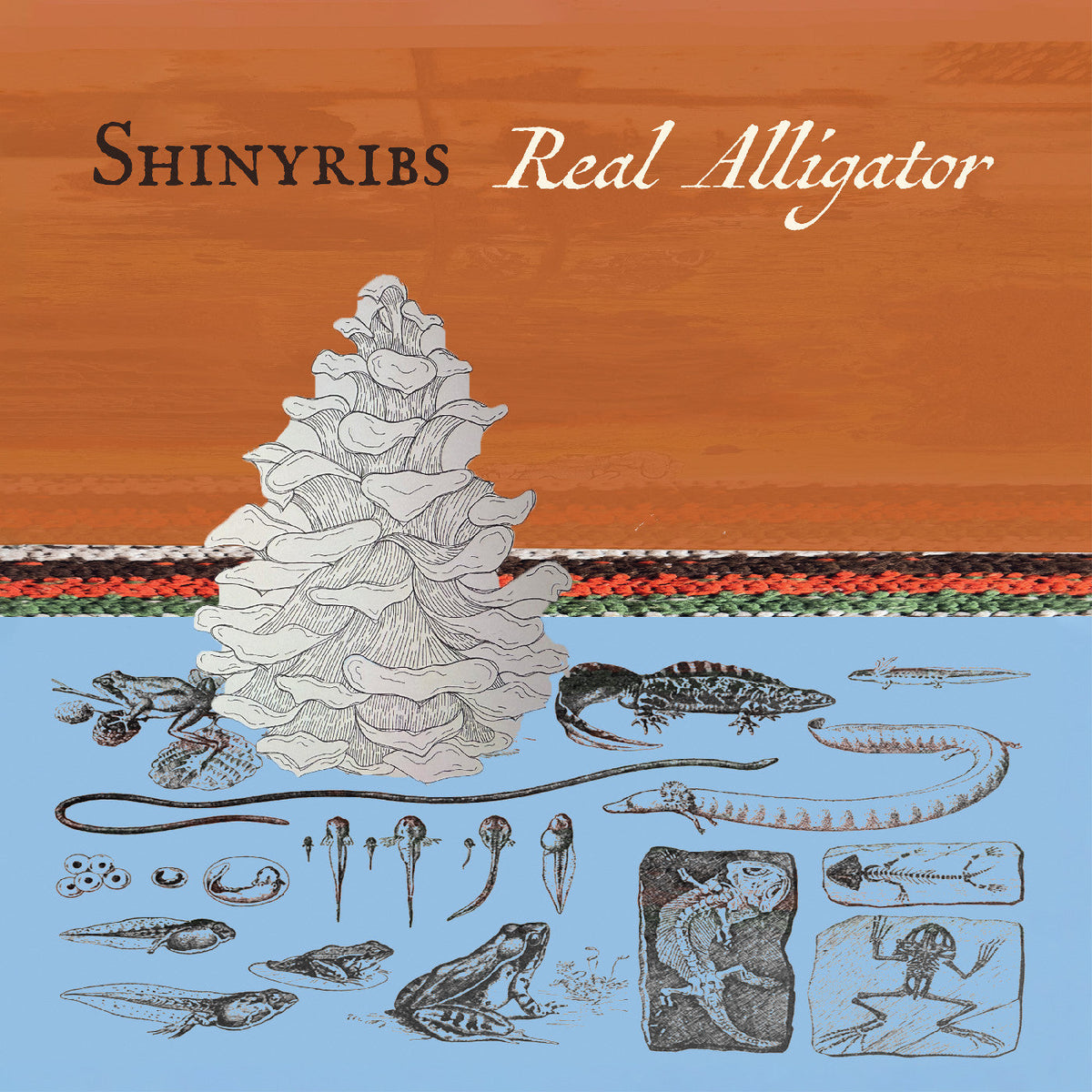 Shinyribs - Real Alligator Vinyl