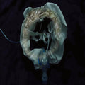 Ship Sket - Initiatrix Vinyl