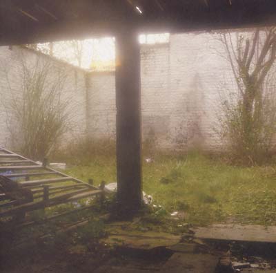 SHKVAL - Slow Death Process Vinyl LP