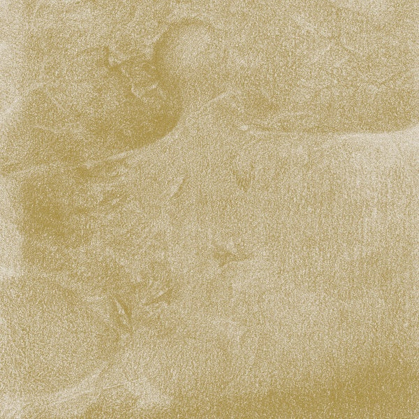 Siavash Amini - Eidolon CD CD