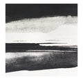 SILENT VIGILS - Fieldem CD CD