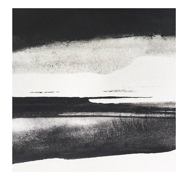 SILENT VIGILS - Fieldem CD CD