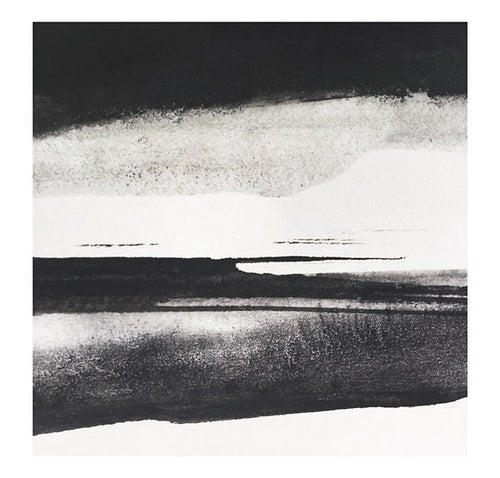 SILENT VIGILS - Fieldem CD CD