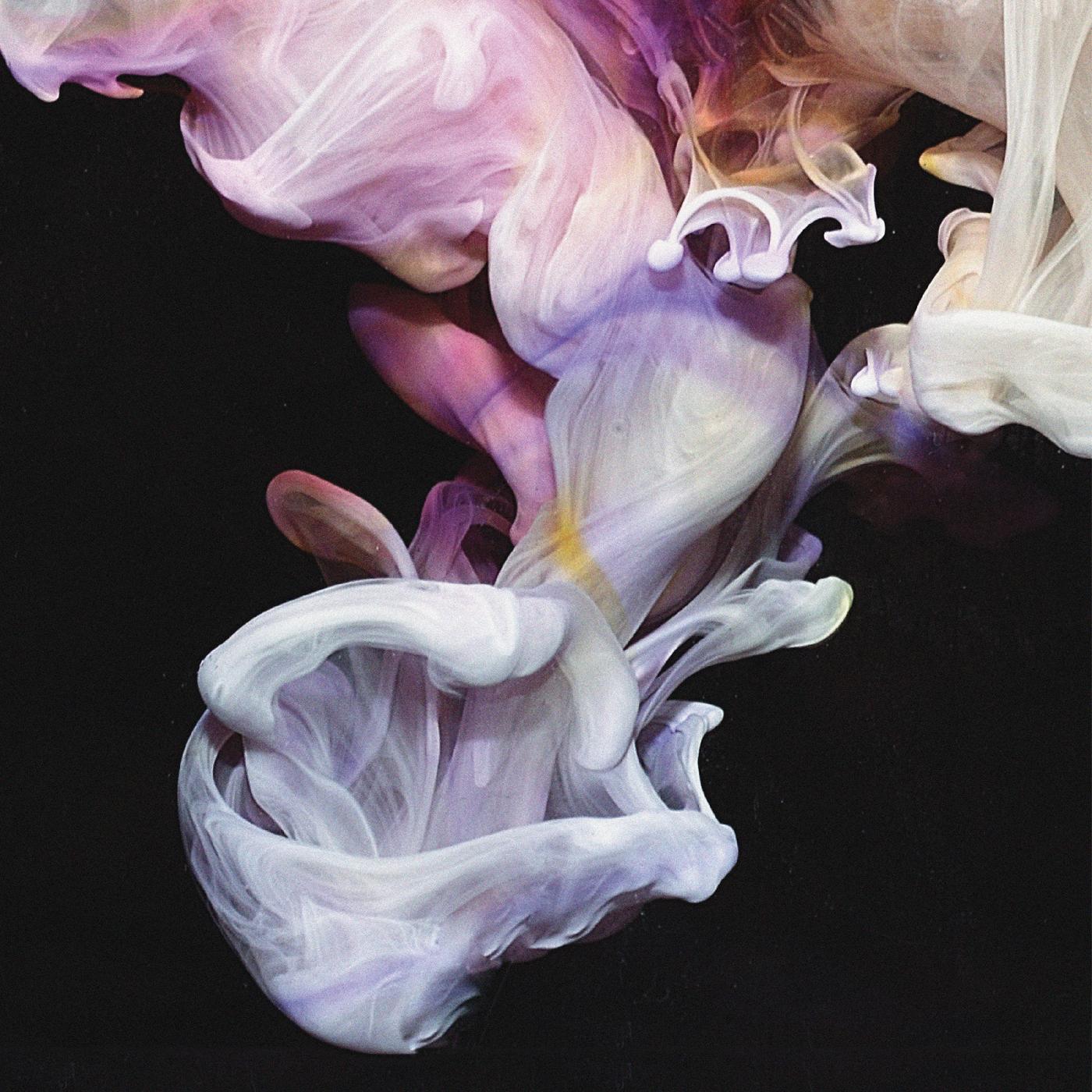 Simian Mobile Disco - Murmurations Vinyl 2LP Gatefold Jacket, Download Card