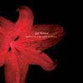 SIMON O'CONNOR & MICHELLE O'ROURKE - Left Behind: Songs of the 1916 Widows CD CD