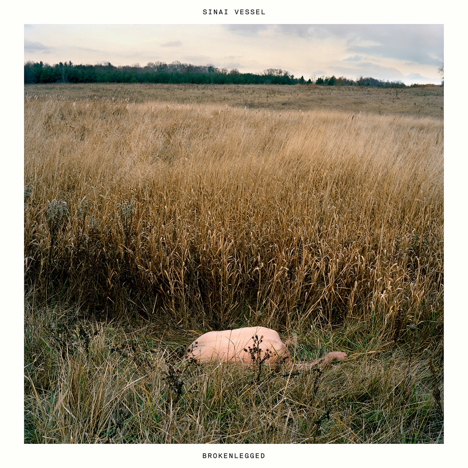 Sinai Vessel - Brokenlegged CD CD Digipak