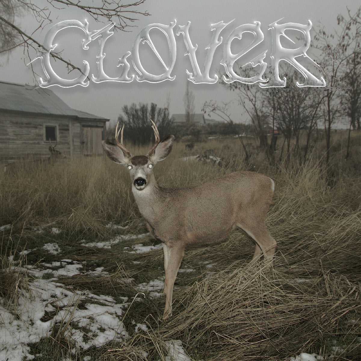 Sleeper'S Bell - Clover Vinyl