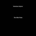 SLOBODAN KAJKUT - Terrible Fake Vinyl LP