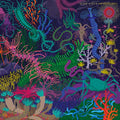 SLOW STEVE - Adventures CD CD