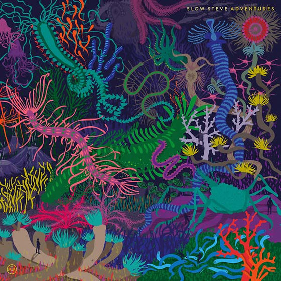 SLOW STEVE - Adventures CD