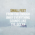 Small Feet - From Far Enough Away Everything Sounds Like The Ocean Vinyl 1LP w/ DL