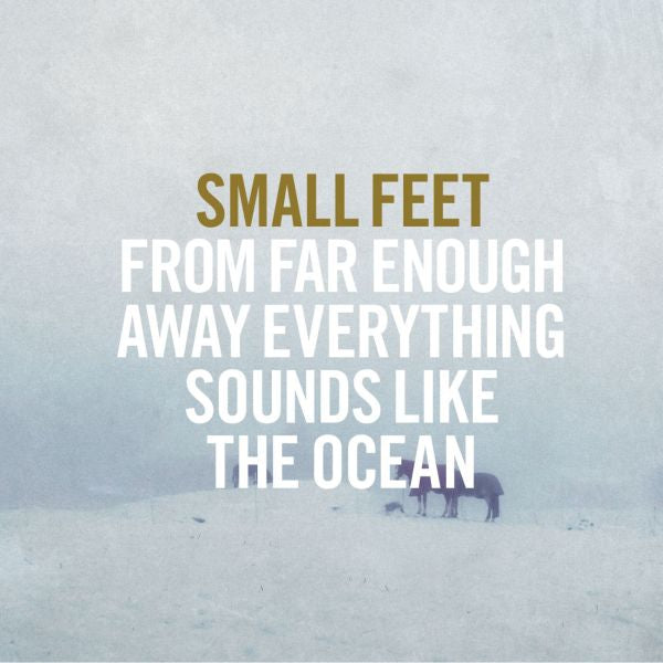 Small Feet - From Far Enough Away Everything Sounds Like The Ocean Vinyl 1LP w/ DL