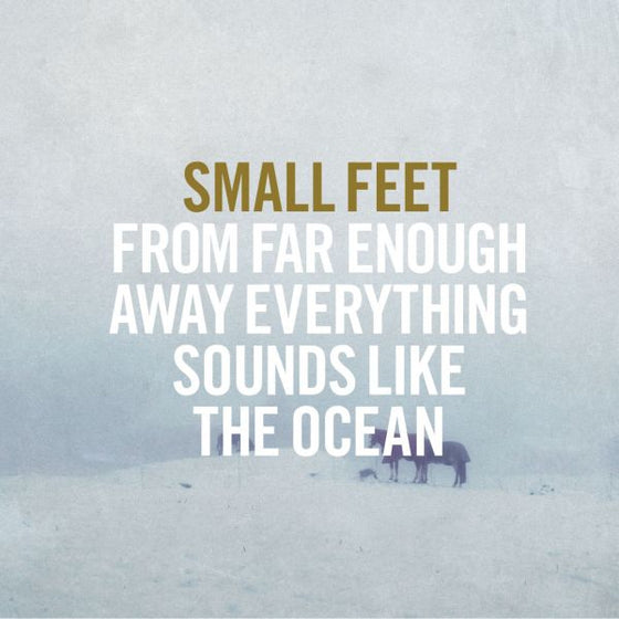 Small Feet - From Far Enough Away Everything Sounds Like The Ocean Vinyl 1LP w/ DL