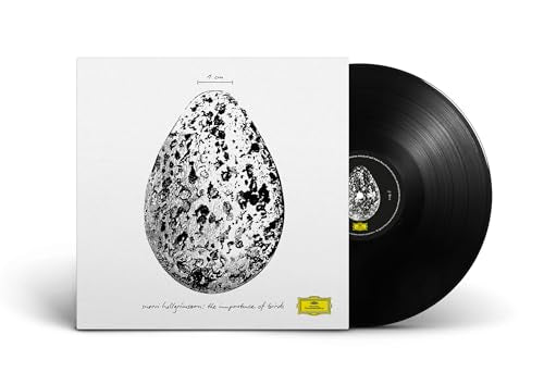 Snorri Hallgromsson - The Importance Of Birds [12" Ep] Vinyl