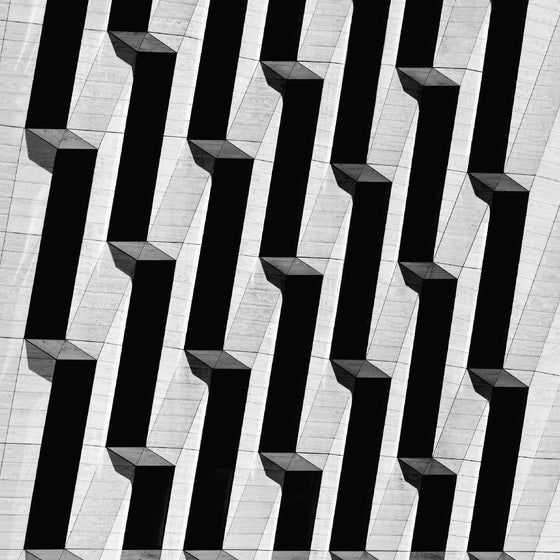 Snow Palms - Everything Ascending Vinyl 12" heavyweight vinyl
