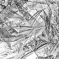 SO SNER - Reime Vinyl LP