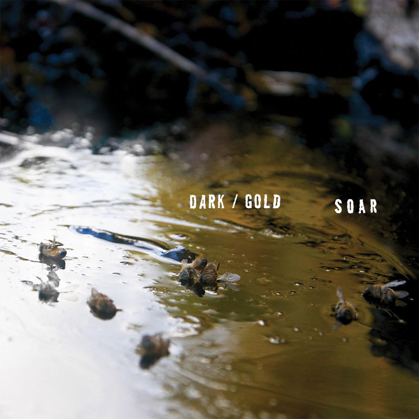 SOAR - dark / gold Vinyl LP Download Card Included