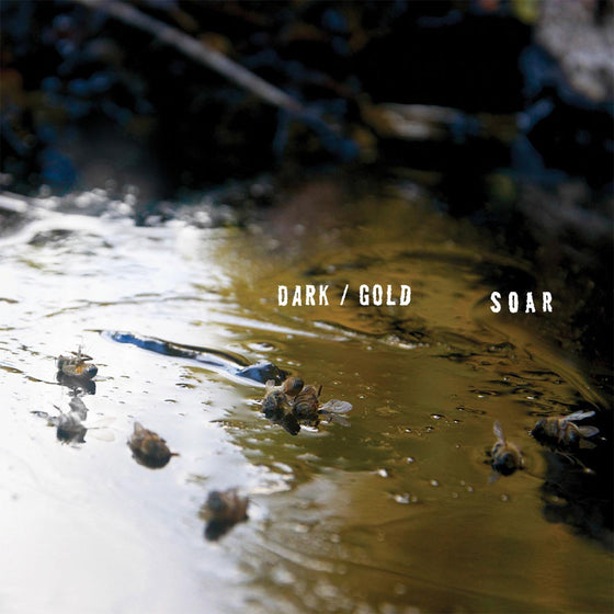 SOAR - dark / gold Vinyl LP Download Card Included