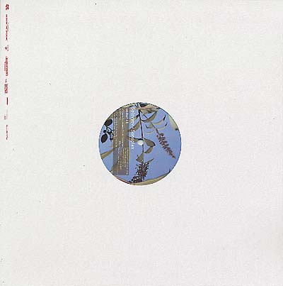 SOLOVYEV - Sonoplex Vinyl 12"