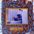 Sonny Falls - Sonny Falls Vinyl LP, Full Color Insert w/ Lyrics and Artwork