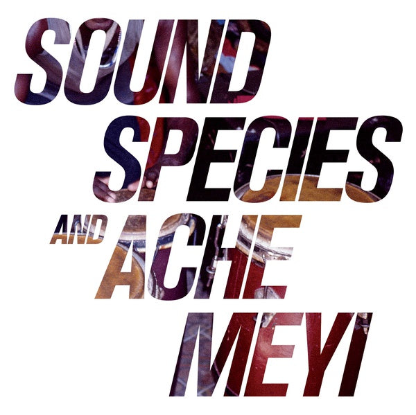 SOUNDSPECIES AND ACHE MEYI - Soundspecies And Ache Meyi Vinyl 2LP