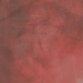Speaker Music - Of Desire, Longing Vinyl LP full color sleeve