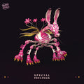 SPECIAL FEELINGS - Special Feelings Vinyl LP