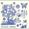 Special Friend - Clipping Vinyl